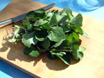 Frische Brunnenkresse Frische Brunnenkresse