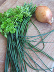 Frische Kräuter - hier Schnittlauch und Petersilie
