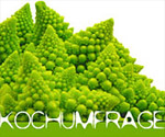 Koch-Umfrage auf multikulinarisch.de