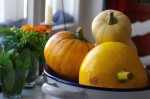 Bunte Kürbisse - Hokkaido und Butternut-Kürbis