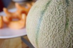 Cantaloupe Melone