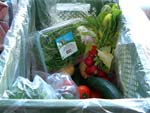 Märkische Kiste - regionale Bioprodukte